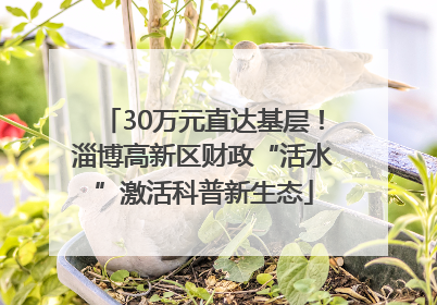 30万元直达基层！淄博高新区财政“活水”激活科普新生态