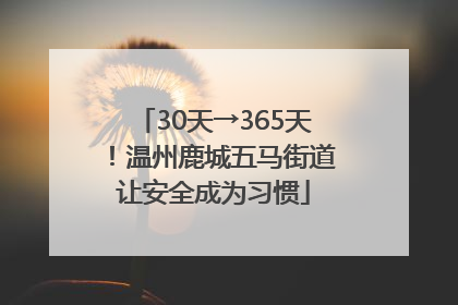 30天→365天！温州鹿城五马街道让安全成为习惯