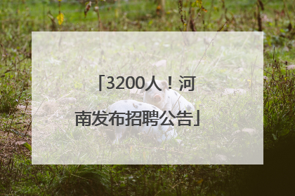 3200人！河南发布招聘公告