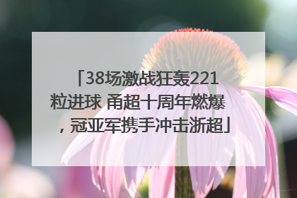 38场激战狂轰221粒进球 甬超十周年燃爆，冠亚军携手冲击浙超