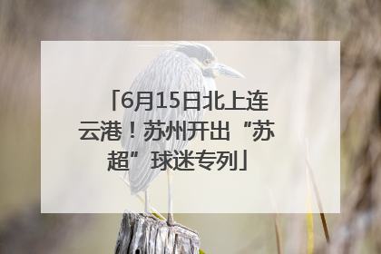 6月15日北上连云港！苏州开出“苏超”球迷专列