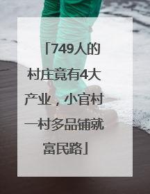 749人的村庄竟有4大产业，小官村一村多品铺就富民路
