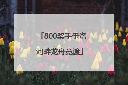 800桨手伊洛河畔龙舟竞渡