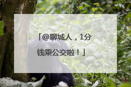 @聊城人，1分钱乘公交啦！