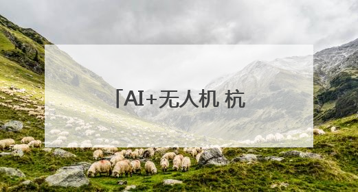 AI+无人机 杭州天空里也有了城市治理的“帮手”