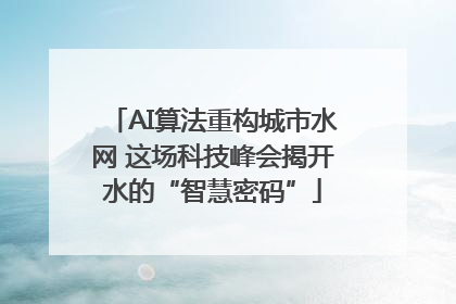 AI算法重构城市水网 这场科技峰会揭开水的“智慧密码”