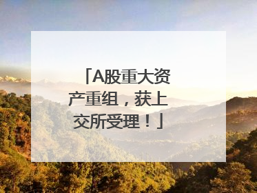 A股重大资产重组，获上交所受理！