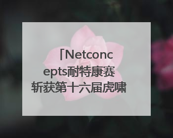 Netconcepts耐特康赛斩获第十六届虎啸奖“年度综合服务商”大奖