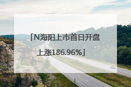 N海阳上市首日开盘上涨186.96%